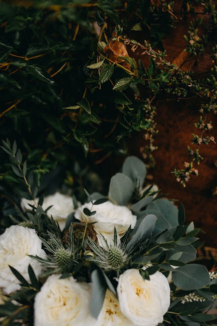 A close-up of a floral arrangement featuring predominantly white roses with soft, full blooms and delicate petals, complemented by silvery-green eucalyptus leaves and sprigs of thistle with spiky blue